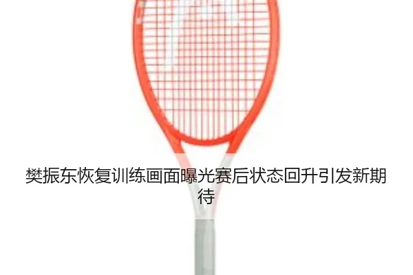 樊振东恢复训练画面曝光赛后状态回升引发新期待 - kaiyun